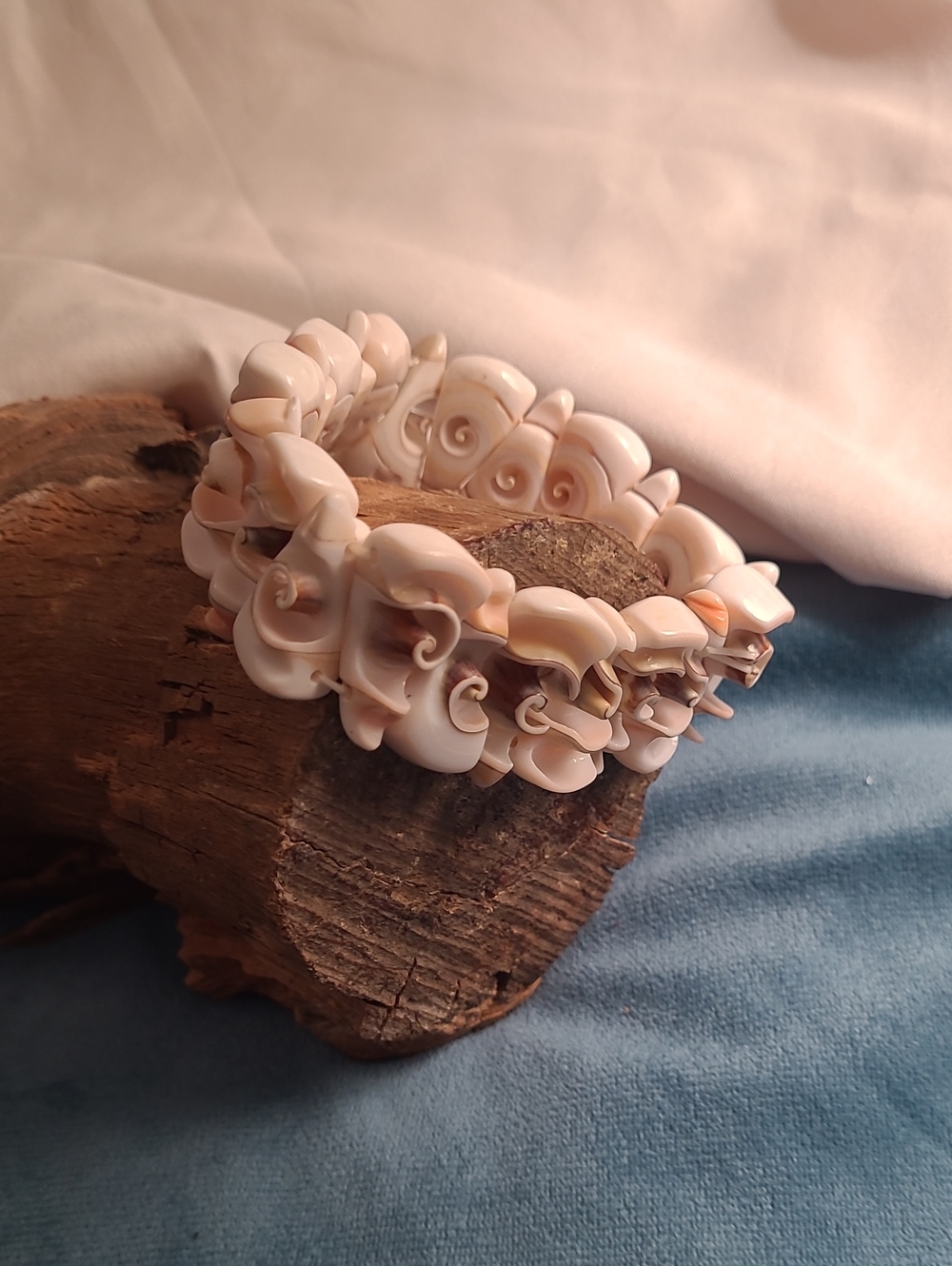 Natural Shiva Eye Shell Stretch Bracelet